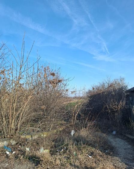 Teren Calugareni Giurgiu 2600 mp - 6