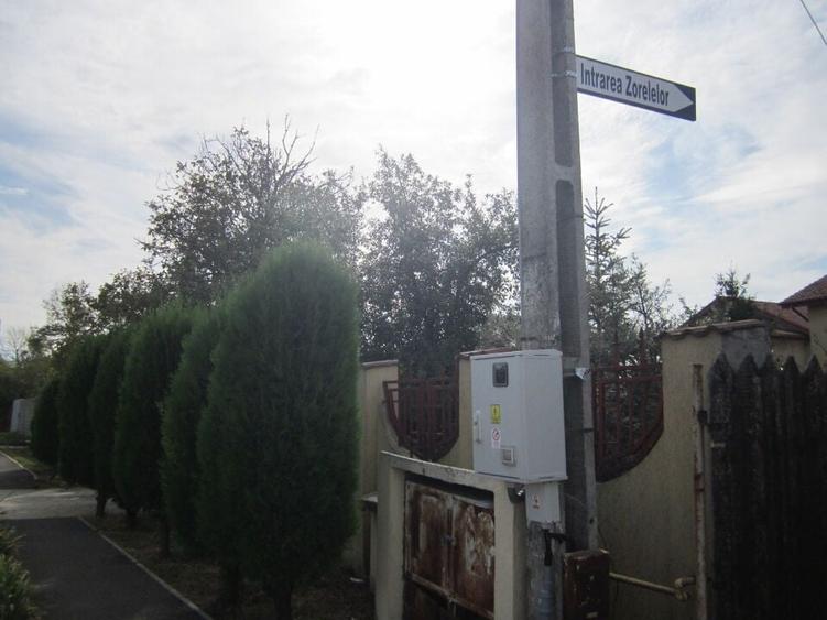 Domnesti Ciutaci-Zorelelor - 10