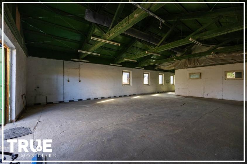 Hală de producție și depozitare - Voiniceni, Mureș - 13