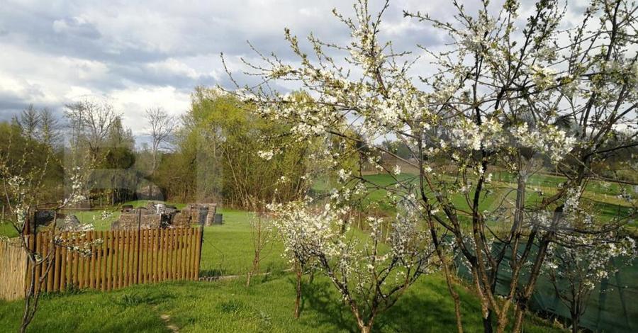 Casa de vacanta 215 mp si 4000 mp teren, zona Lelesti - 14