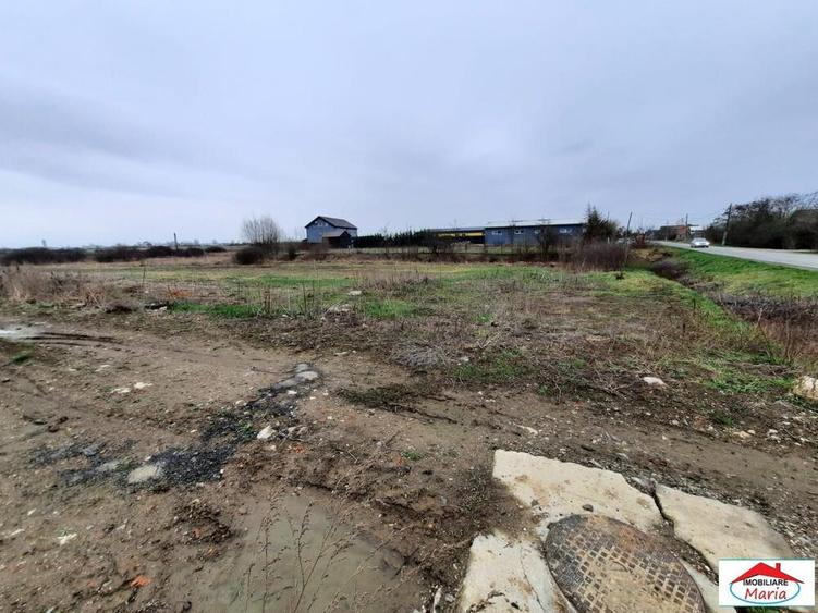 Teren intravilan 12216 mp in Vetis construibil - 3