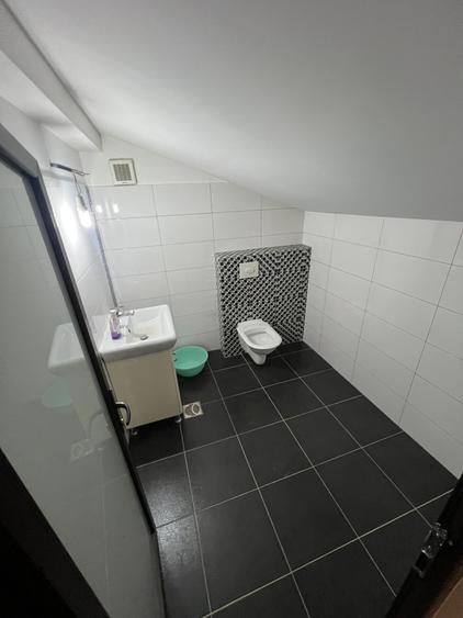 Vanzare Casa/Villa 6 camere 3 bai 3 wc -uri Dobroiesti 0% Comision - 42