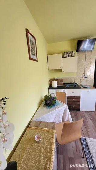 Garsoniera decenta confort 3 Vlaicu Fortuna etaj 2 - 4