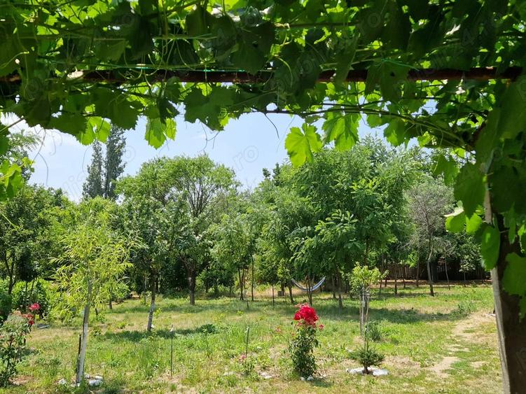 De Vanzare Casa Caramida +Teren drept intravilan - 9