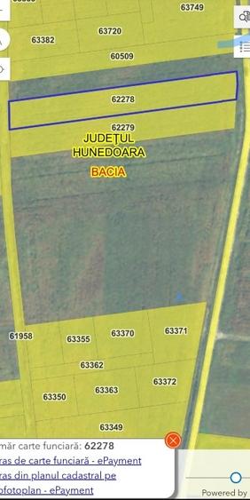 Vand teren intravilan Bacia - 3