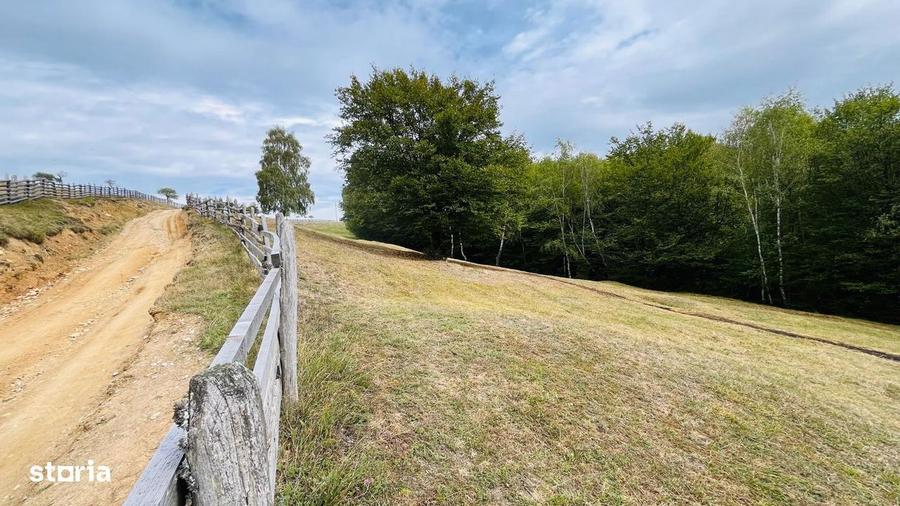 Teren De Vanzare In Zona Purcareti, Jud. Alba. 17800 Mp. - 5