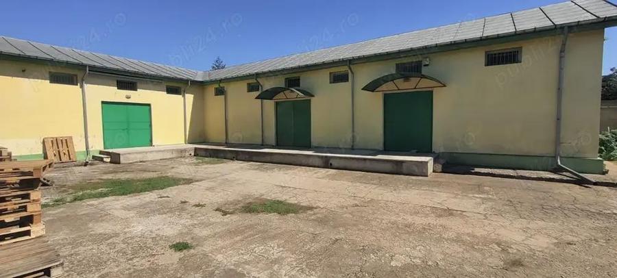 Hala Depozit aproape de vama - 2