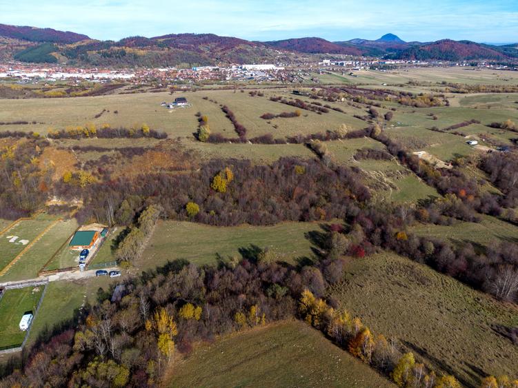 Teren intravilan 5723mp Zarnesti Tohanita- case de vacanta,investitie in turism - 12