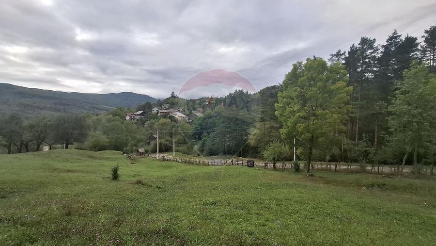 Teren cu priveliste spectaculoasa, 4000mp, la 18km de Sinaia - 6