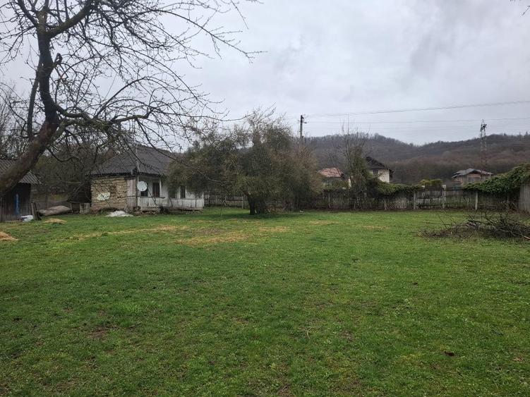 Teren de vanzare Gheboieni DB intravilan+extravilan - 9