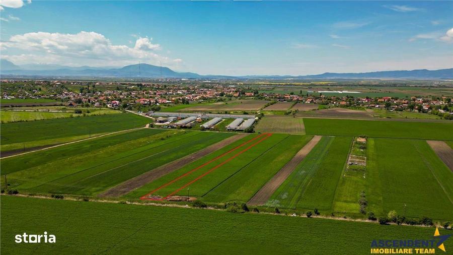 FILM! Teren extravilan 5.000 mp in zona linistita cu acces facil, Bod, - 4