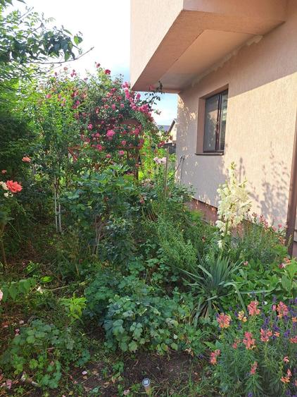 Bragadiru-Safirului Vila Individuala P+1+Pod An 2015 - 10