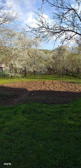 Casa de vanzare In Capusul Mic - 9