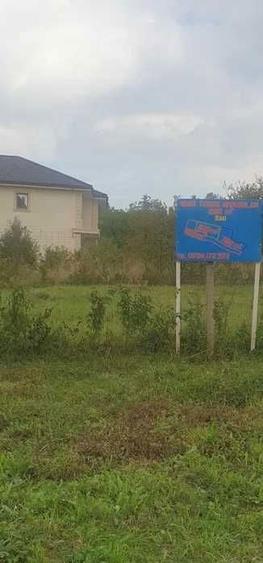 Vand teren intravilan la Seciu - 5