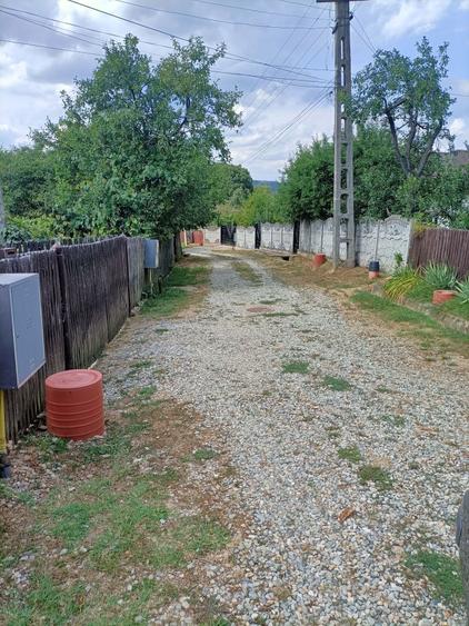 Vand Teren Radesti Stalpeni - 5