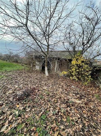 RECO casa in Livada de Bihor - 13