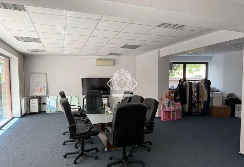 Cismigiu-Victoriei I Spatiu de Birouri I Complex Rezidential - 3