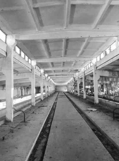 Vand teren cu hala construita pe el - 3