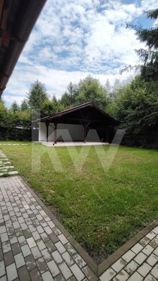 Vila de poveste din Valea Avrigului de vanzare - 6