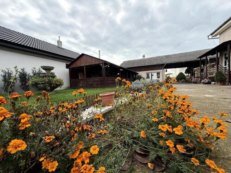 Casa 330 mp cu teren 2300 mp in Santandrei, langa Oradea - 1