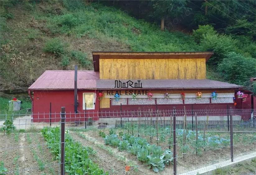 Casa renovata cu acces usor, langa padure - 12