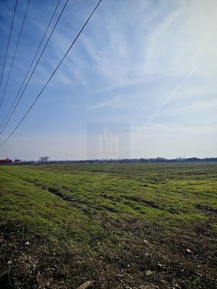 Teren de Vanzare  Caciulati Ilfov - 3