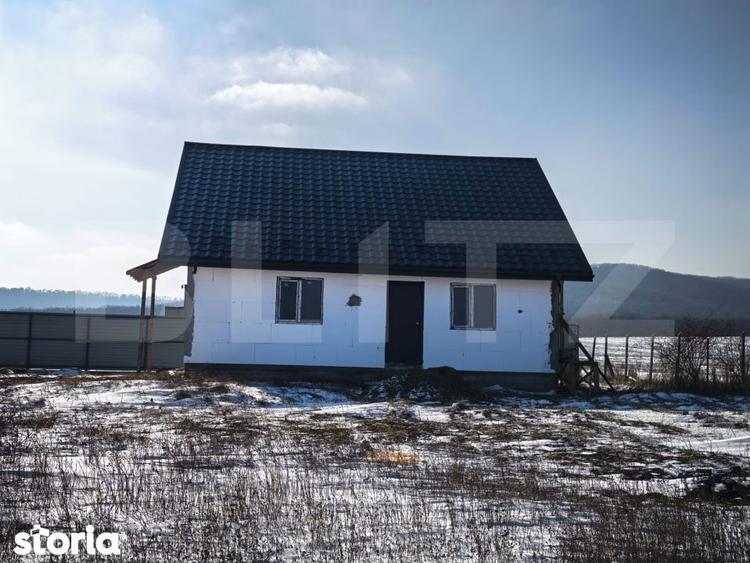 Casa parter cu pod inalt mansardabil Voinesti - 4