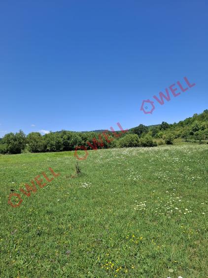 De vânzare teren intravilan de 7.600 m² situat în Sovata, pe strada Alunei (Mogy - 3