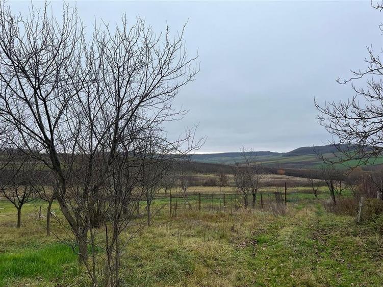 Teren Construcții intravilan de 500 mp, în Hidișelu de Sus