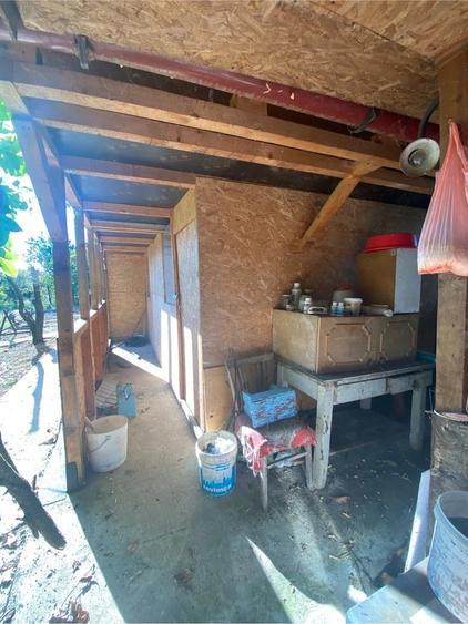 Casă cu 3 camere cu Teren 1600 Mp în Bujoreni