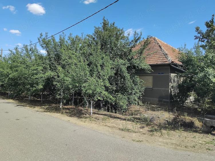 Casă cu Teren 1000 Mp în Central
