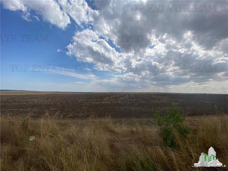 Teren extravilan in Mihail Kogalniceanu, Constanta - 7