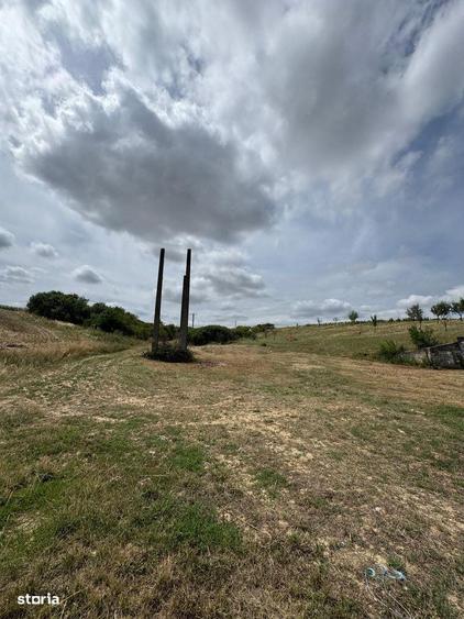 Teren Extravilan Biharia - 1