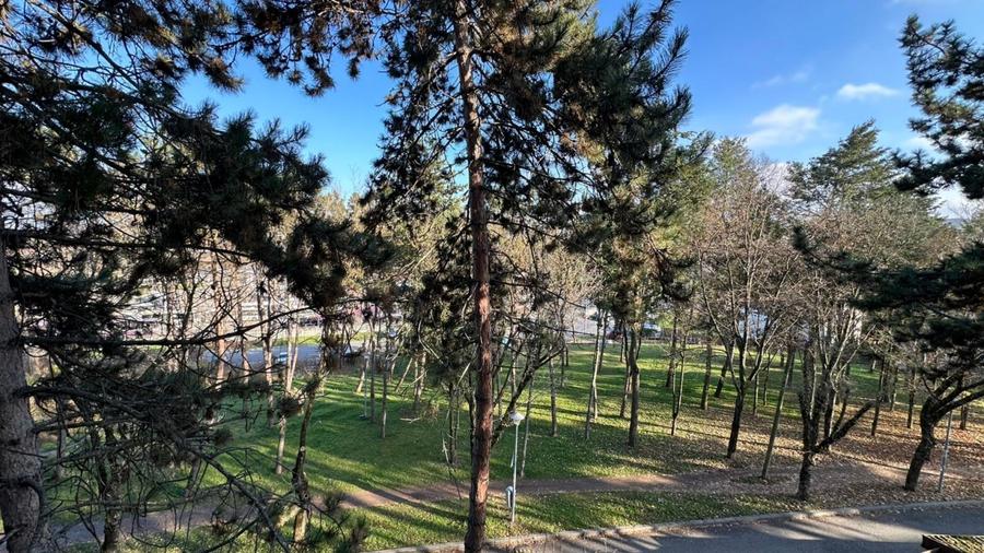 Apartament cu 2 camere de vanzare - Gheorgheni - 6