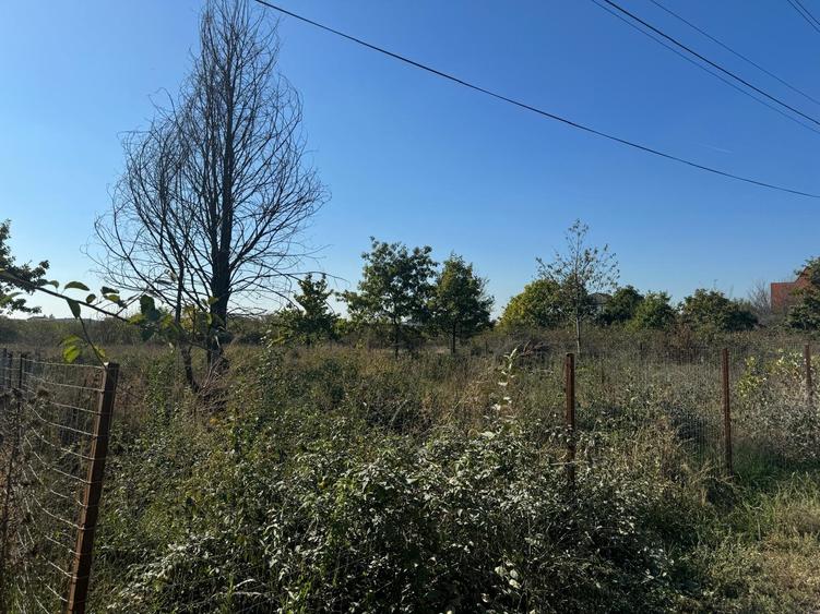 Teren Interesant Mogosoaia - 2