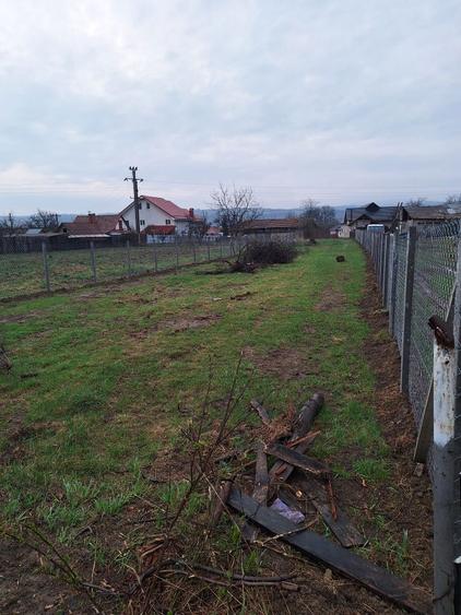 Teren pentru casa in Casin, Bacau - 2