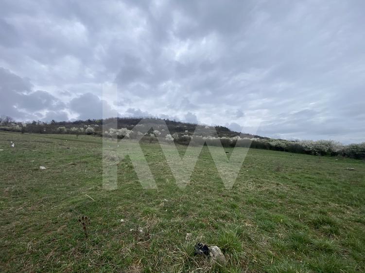 Teren de casa 587mp intravilan curti constructii acces privat Sibiu - 7