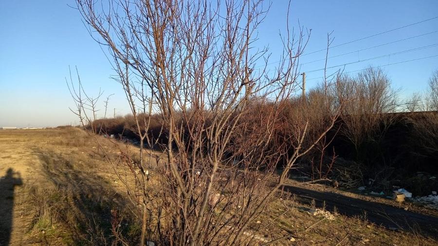 Teren Investitie Dubla Deschidere - 7