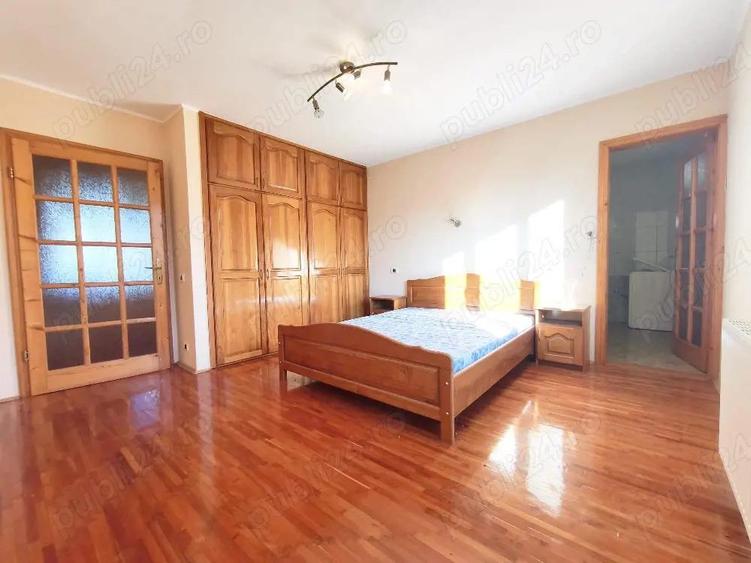 Proprietate rara,langa drumul judetean,Pecica - 7