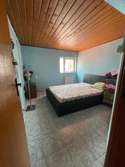 Brancoveanu-Nitu Vasile | Casa Individuala- D+P+1+M - 24