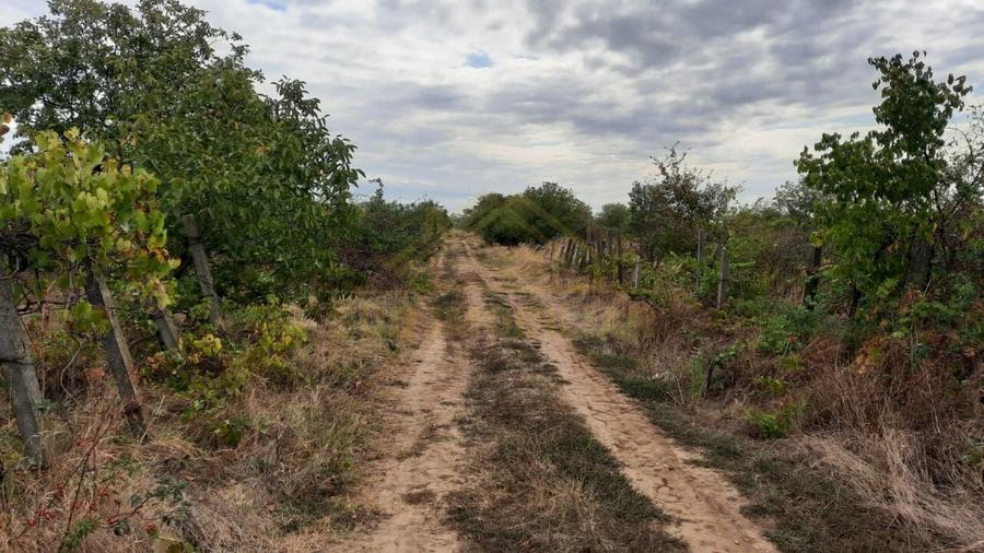 TEREN INTRAVILAN -497 MP-SOLSTITIULUI - 1