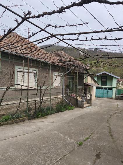 Vind casa la Banpotoc! - 4