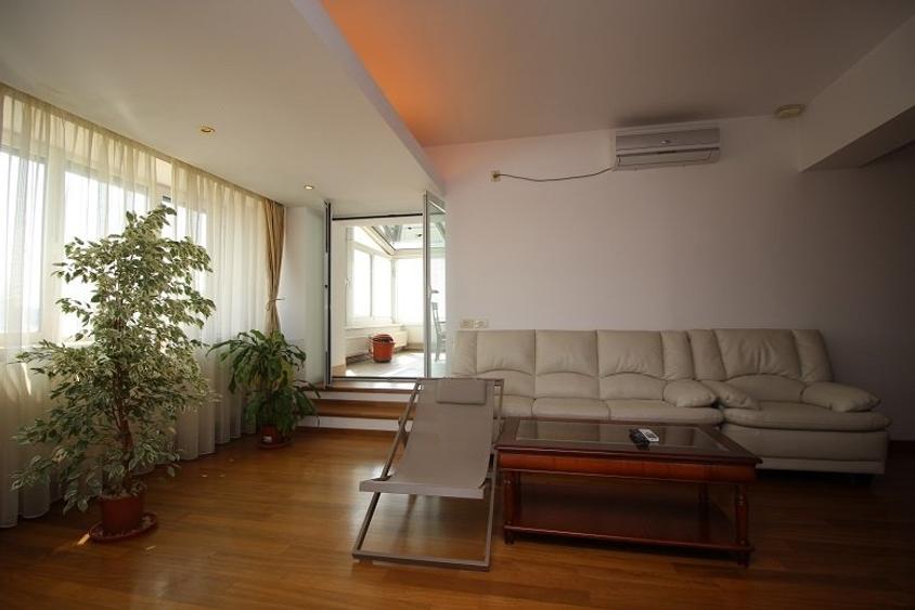 Vanzare apartament Gradina Icoanei - 7