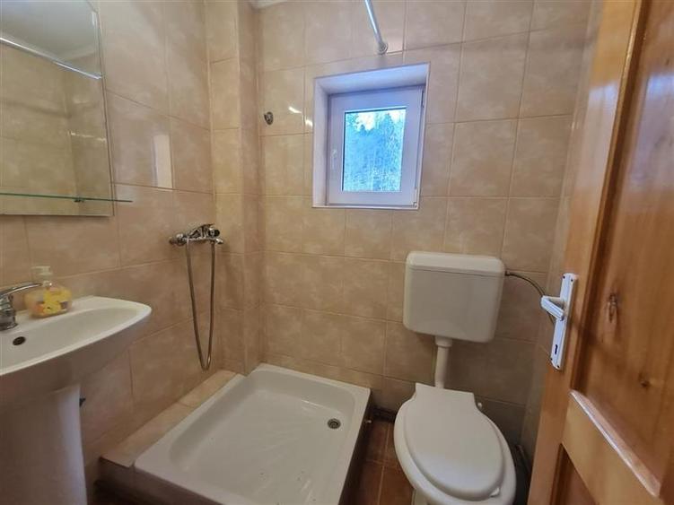 Incadrata de 4.200mp teren, Vila cu potential turistic, in inima Predealului - 27