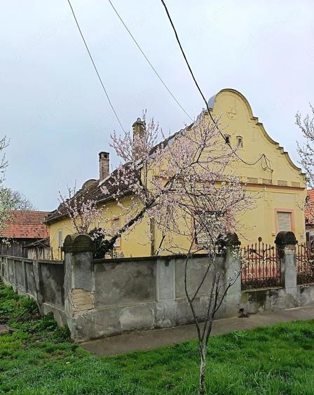 Proprietar vand casa cu gradina - 3