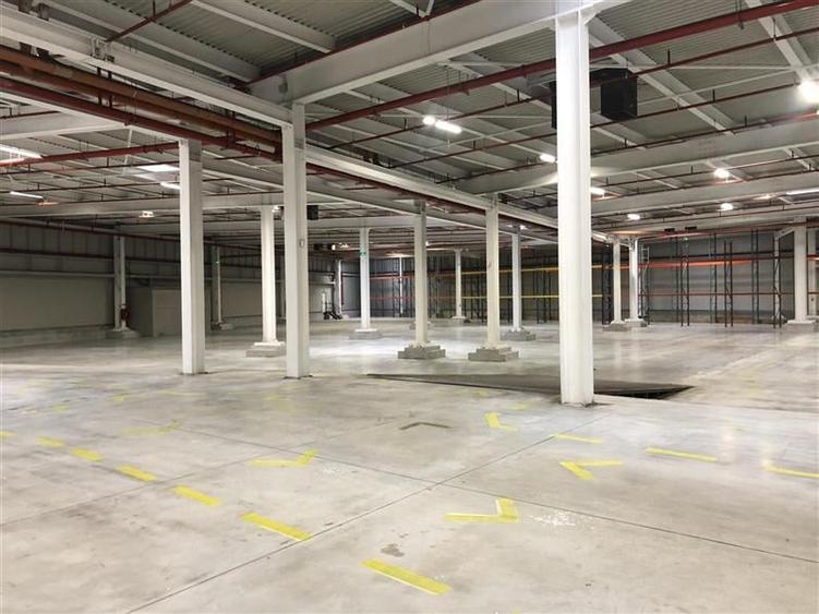 Inchiriere depozit/hala/spatiu industrial Chiajna - A1 - Centura - 7