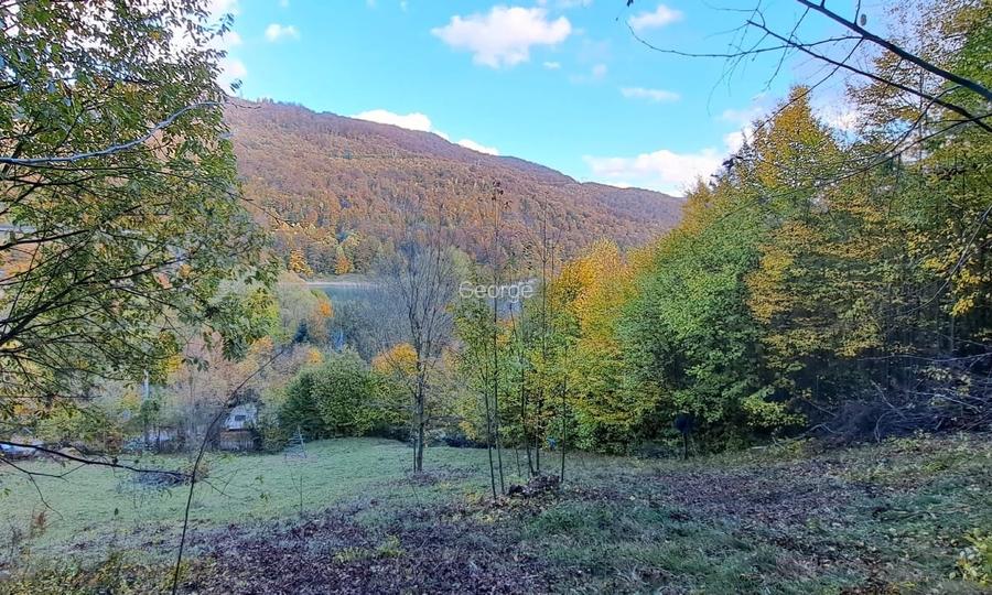 Vand teren cu vedere la lac, Valea Doftanei,Strada Lacului