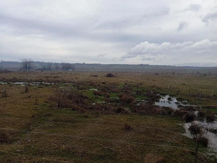 Teren extravilan, Targu Jiu, strada Ciocarlau - 3