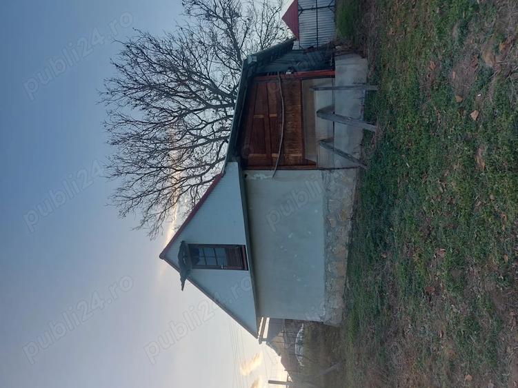 Vand casa in Fasca - 4