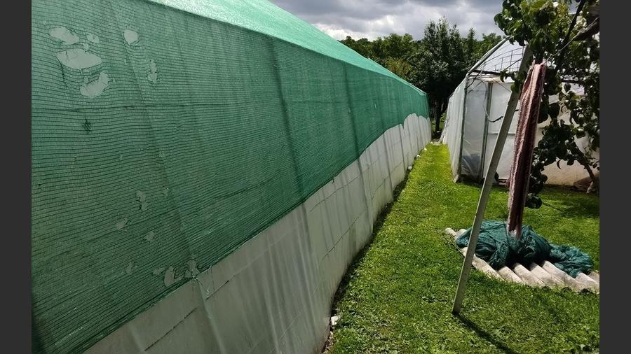 Casă cu gradina 1255mp cu sere, Copaceni , 25km de Cj-N,comision 0% - 13